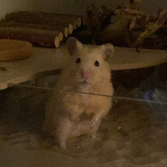 Meet your Posher, J. - Picture 1 of 1